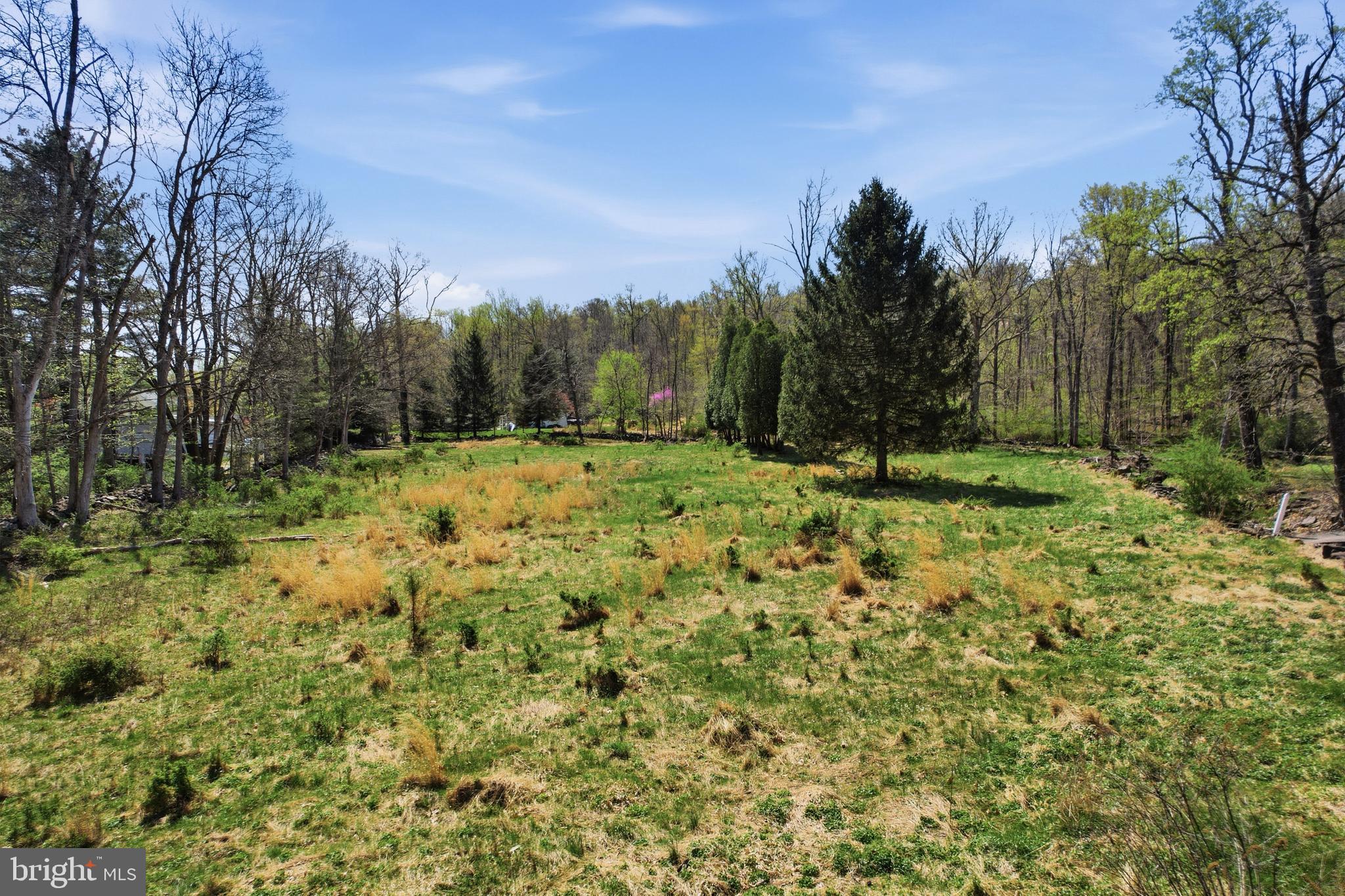 238 Kemp Road Barto, PA 19504 - Photo 43 of 68 Rear of the lot. Pastuer
