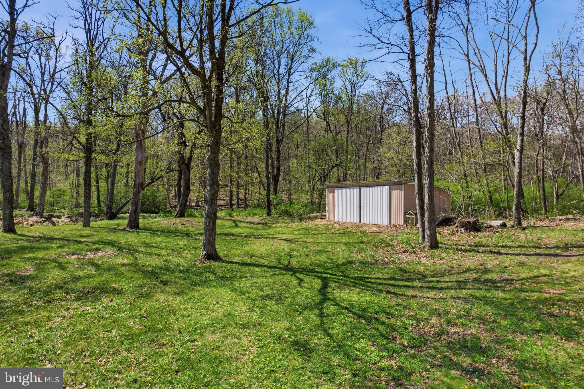 238 Kemp Road Barto, PA 19504 - Photo 44 of 68 Rear yard /storage shed