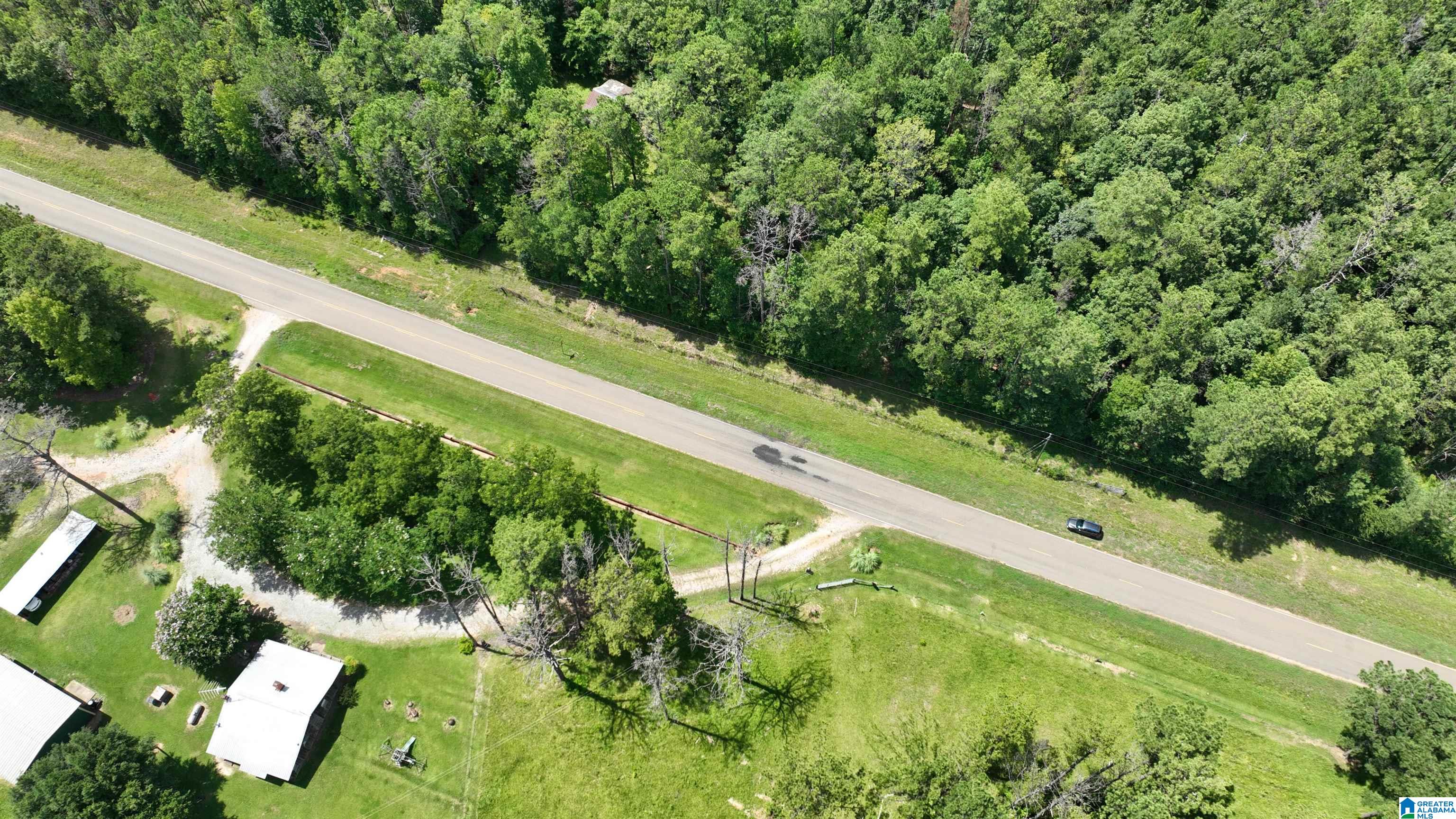 0 South Shackleville Road Georgiana, AL 36033 - Photo 22 of 22