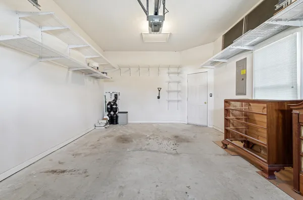 a view of a park with a tree