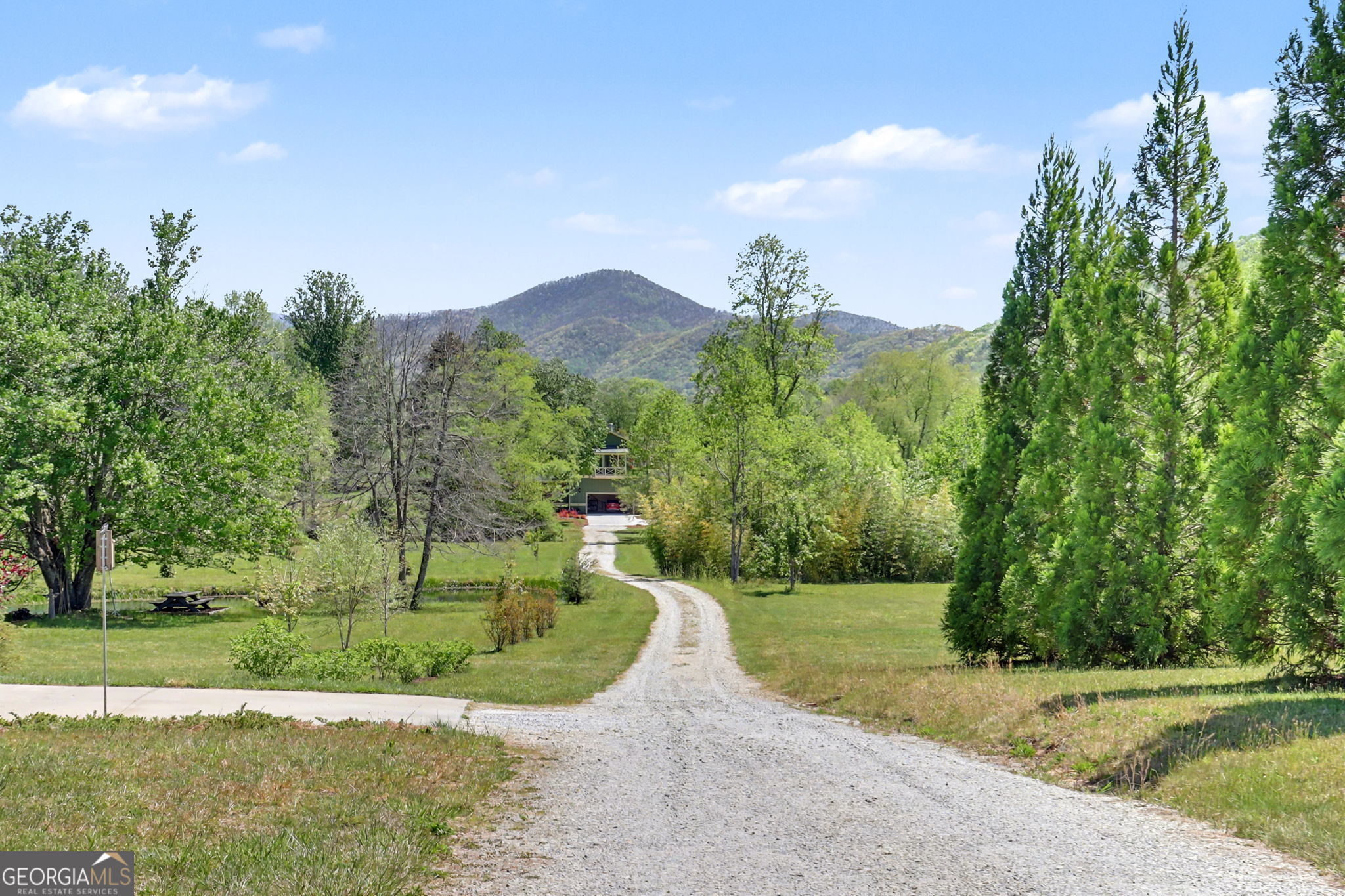 784 Wolffork Church Road Rabun Gap, GA 30568 - Photo 5 of 46
