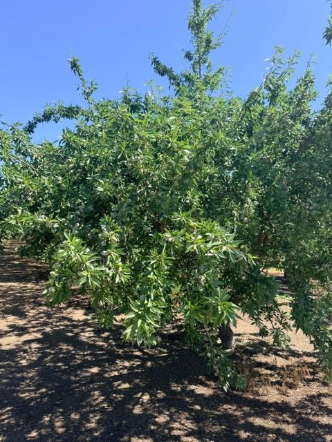 0 Service Road Ceres, CA 95307 - Photo 2 of 4