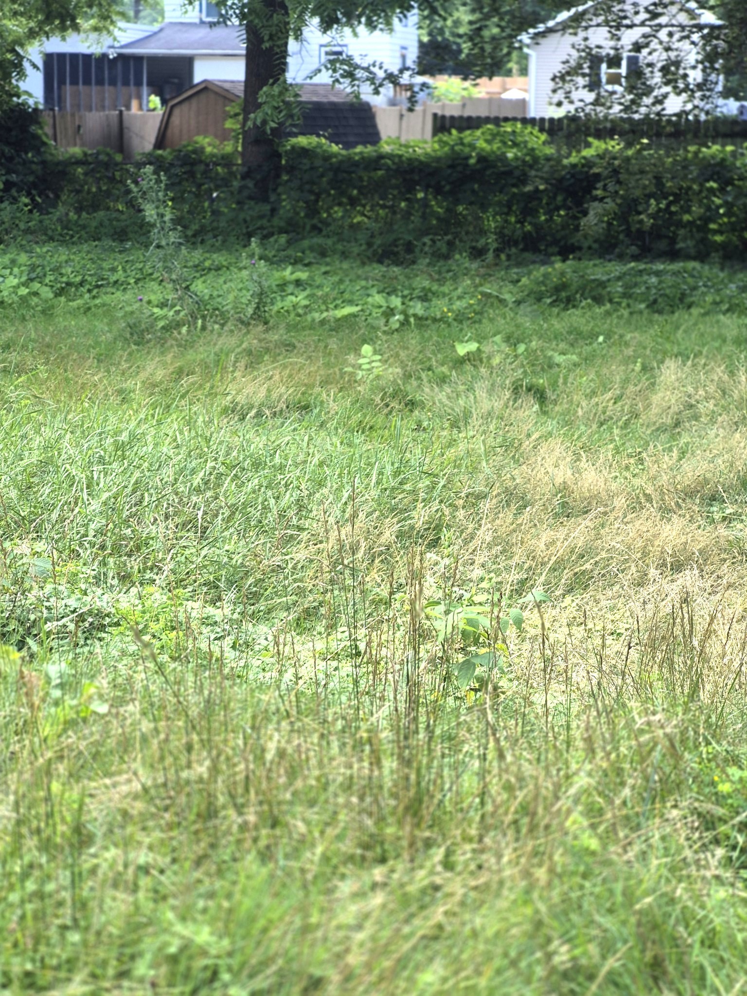 508 East Main Street Owego, NY 13827 - Photo 16 of 17