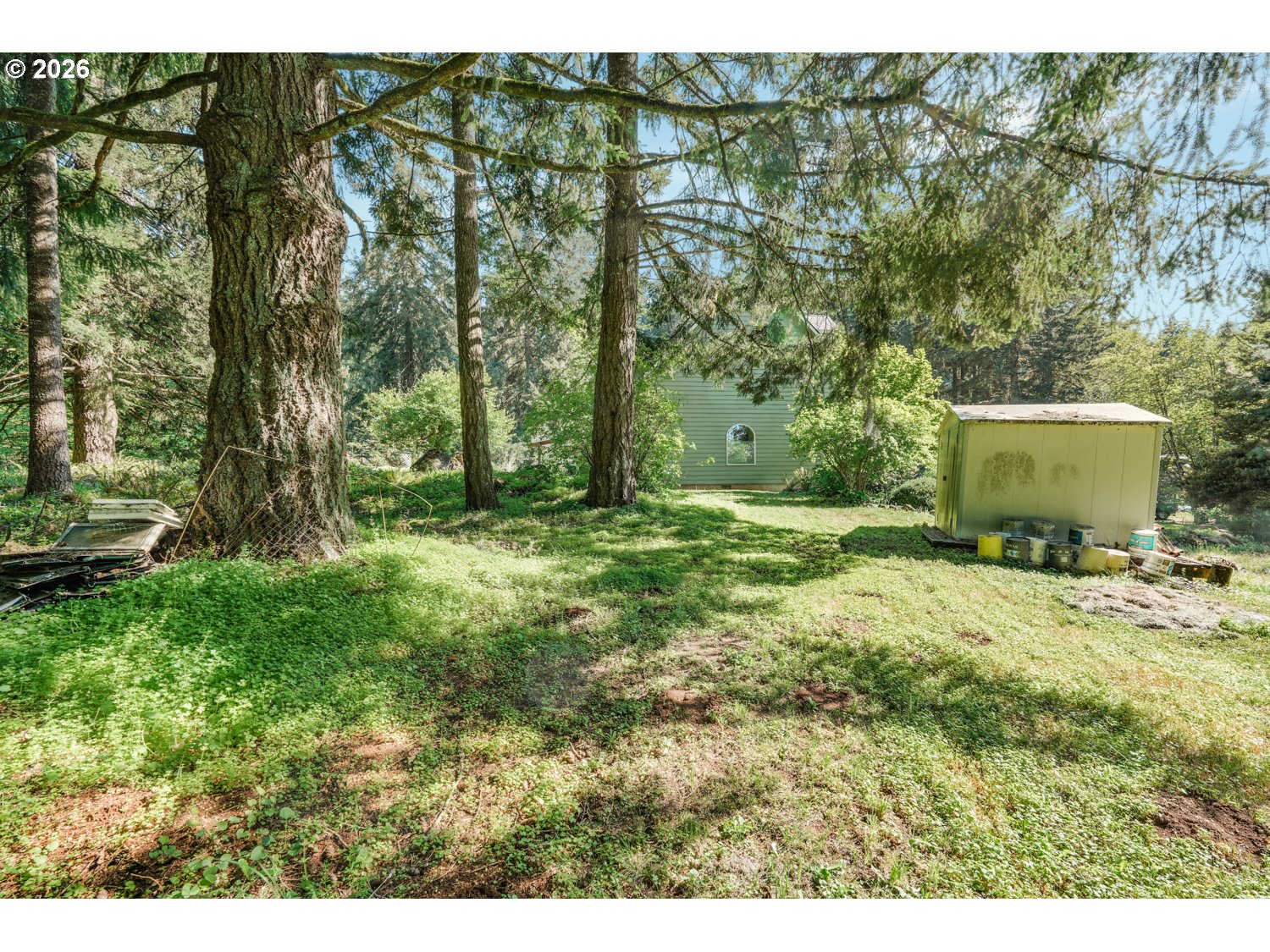 43288 Rodgers Mountain Loop Scio, OR 97374 - Photo 24 of 34