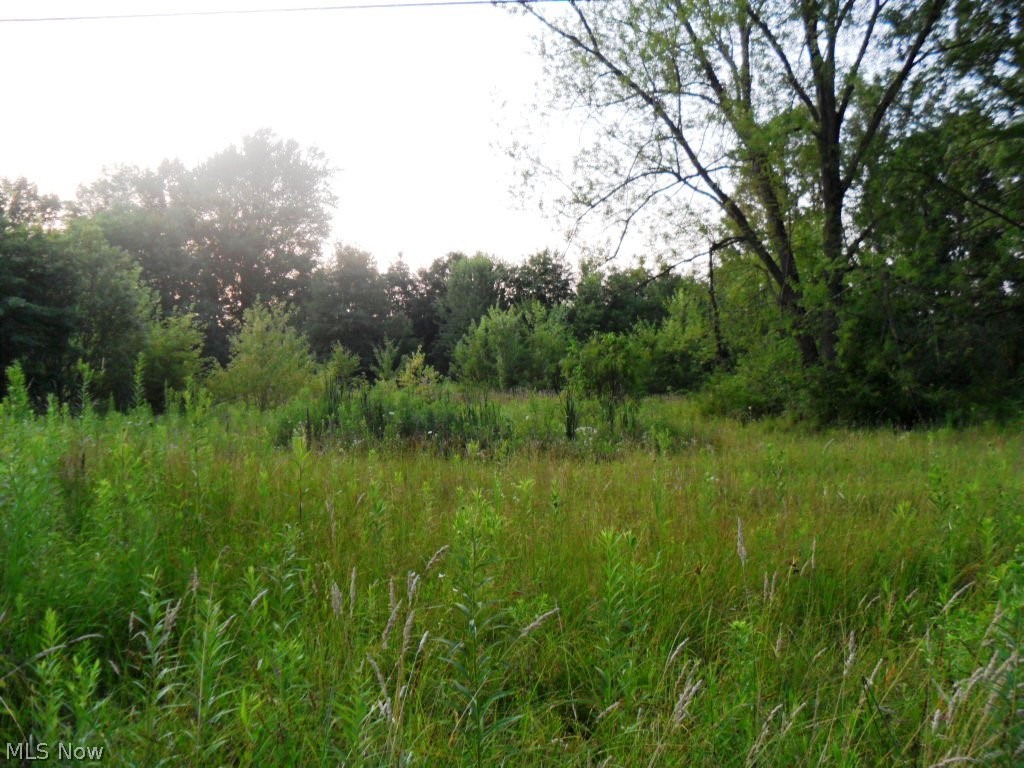 9837 Whippoorwill Road Diamond, OH 44412 - Photo 2 of 2 Convenient location to Routes 224, 225, 18, 76, 5, 534, & 14.