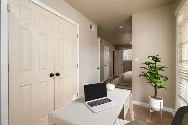 a living room with furniture and a potted plant