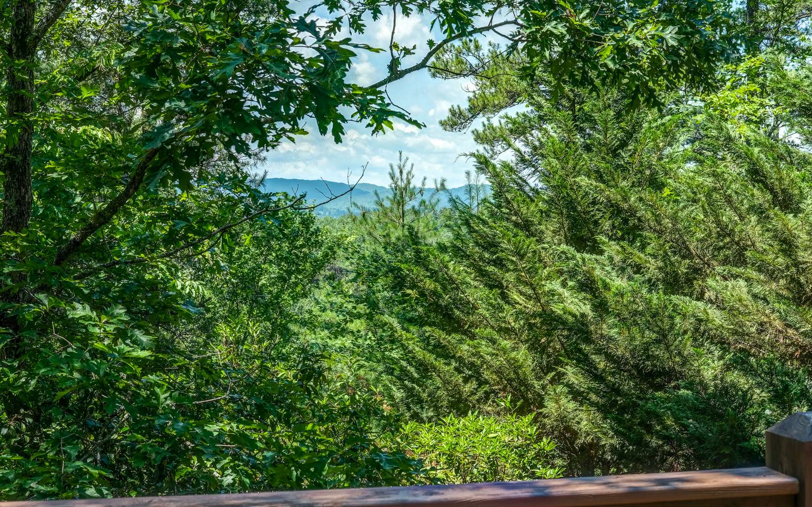 628 Sandy Gap Road Murphy, NC 28906 - Photo 12 of 58 a view of a garden