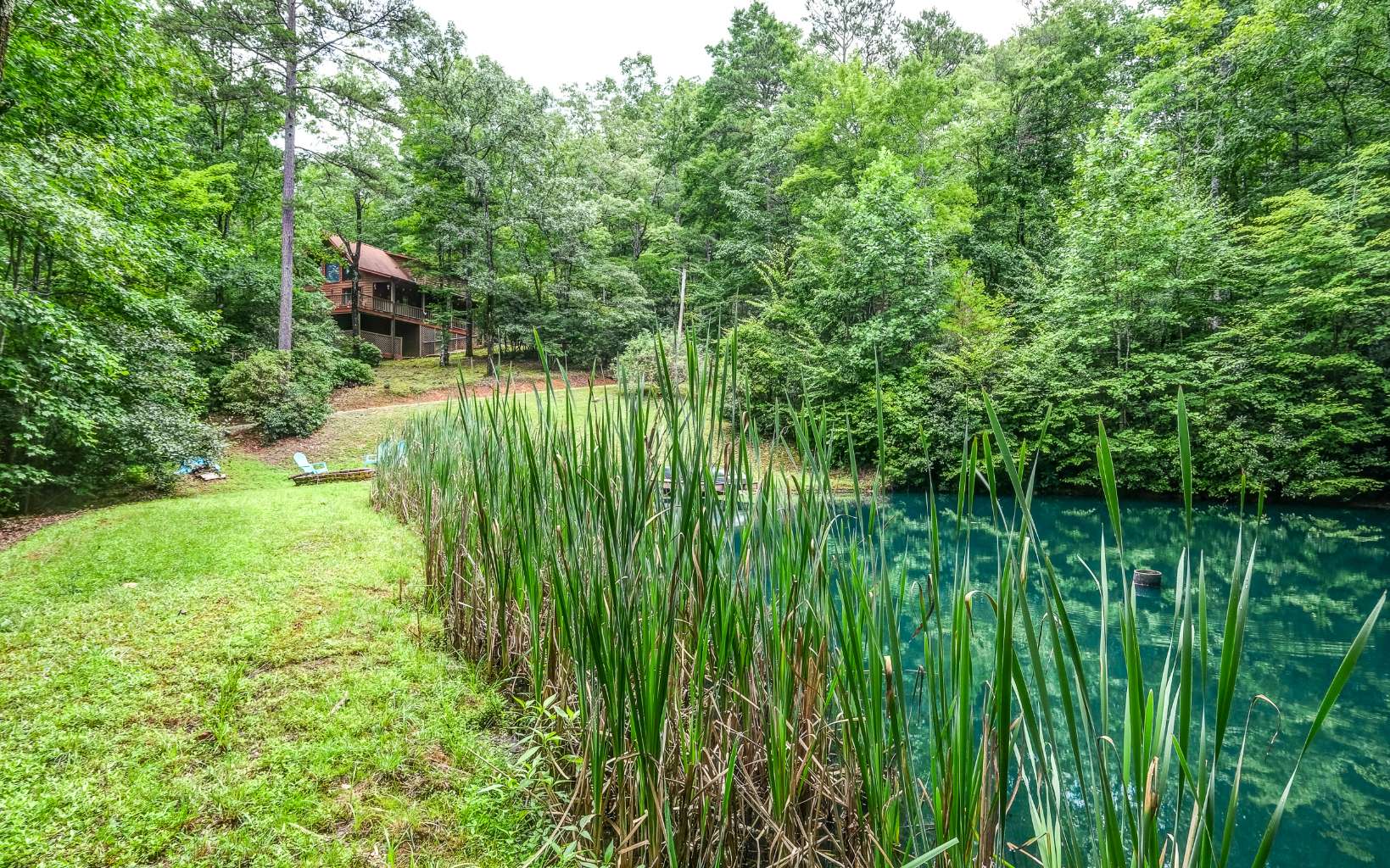 628 Sandy Gap Road Murphy, NC 28906 - Photo 56 of 58 a backyard of a house with lots of green space
