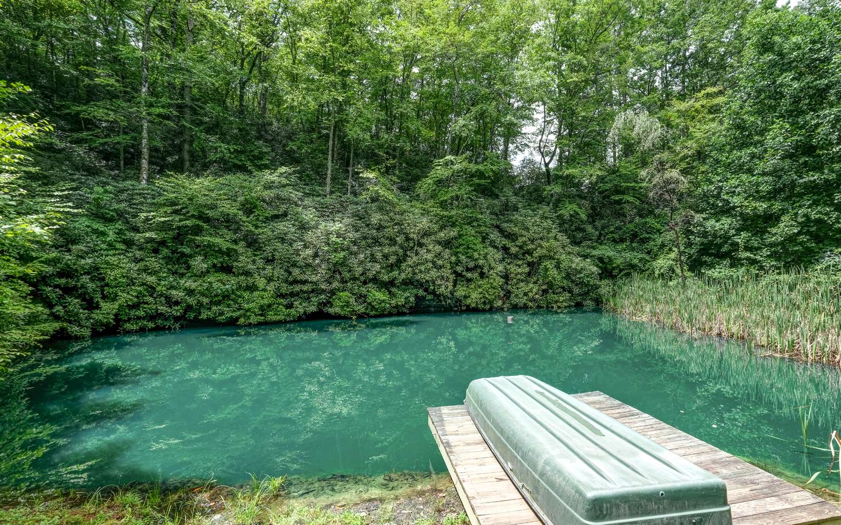 628 Sandy Gap Road Murphy, NC 28906 - Photo 57 of 58 a view of a backyard with wooden fence