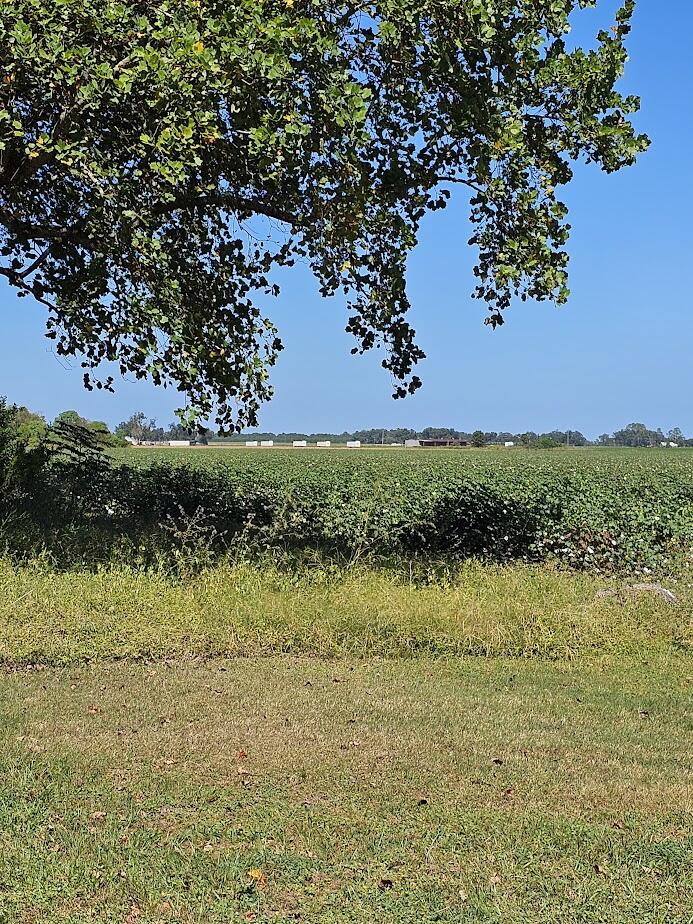 1551 Hester Church Road Baker, FL 32531 - Photo 5 of 5 a view of lake view