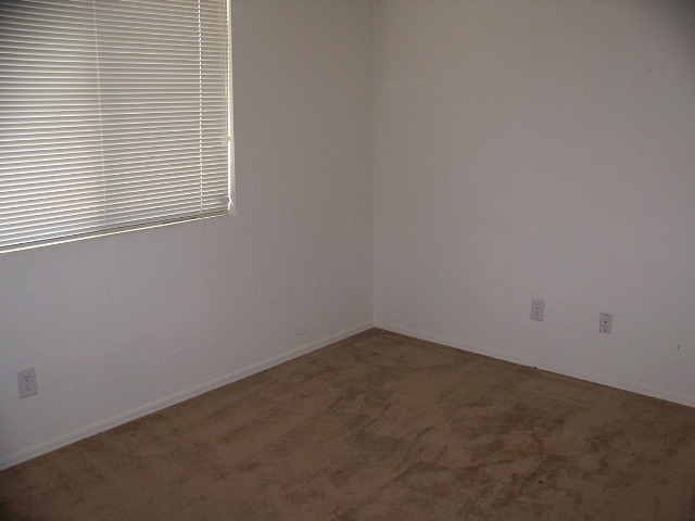 2029 West Carter Road Phoenix, AZ 85041 - Photo 11 of 16 Photo