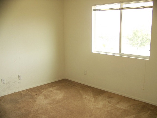 2029 West Carter Road Phoenix, AZ 85041 - Photo 9 of 16 Photo