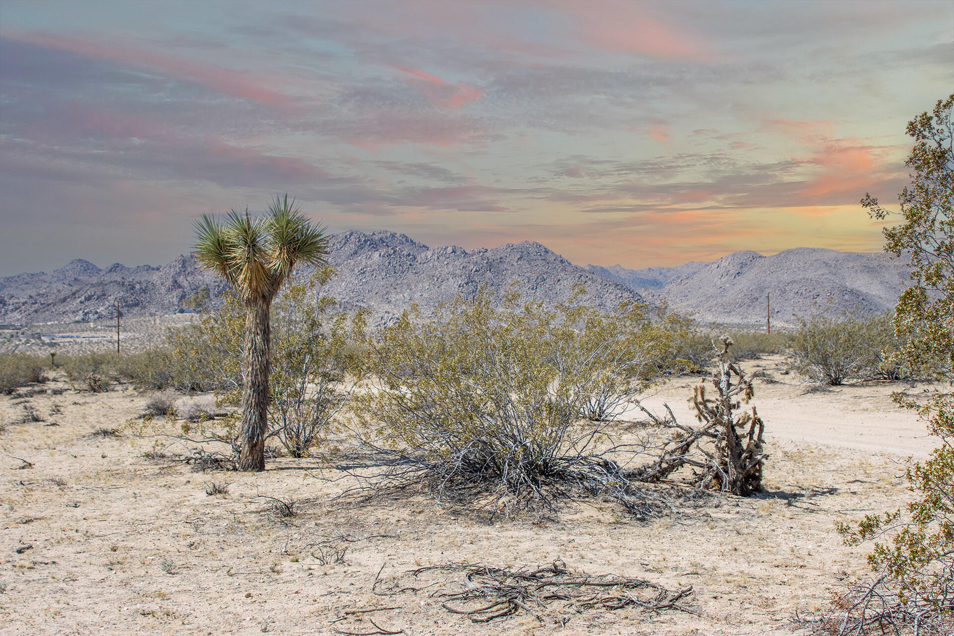 305 2 Mile Road Joshua Tree, CA 92252 - Photo 28 of 28 IMG_9512