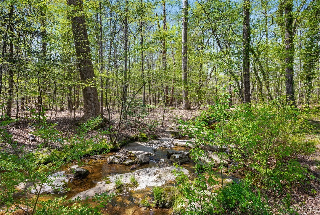 9031 Gallatin Road Chesterfield, VA 23236 - Photo 42 of 50 Gallery Image 42