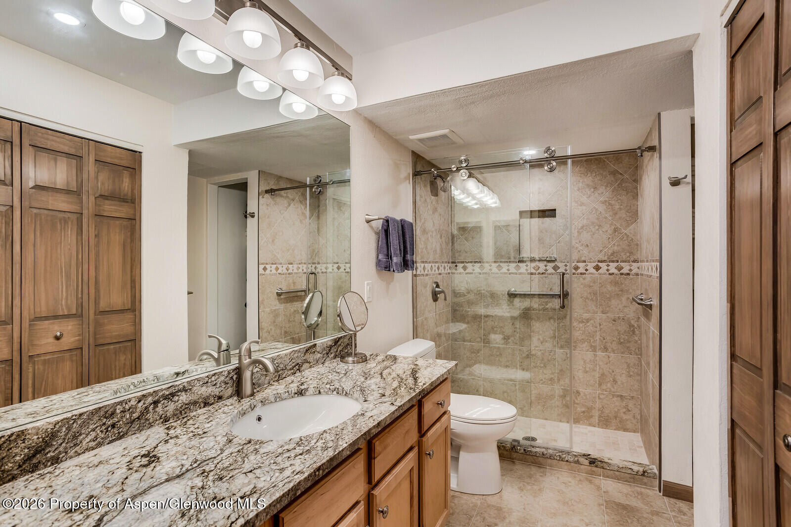 55 Upper Woodbridge Road, Unit E2 Snowmass Village, CO 81615 - Photo 12 of 41 24_55_Upper_Woodbridge_Road_E2_Snowmass_