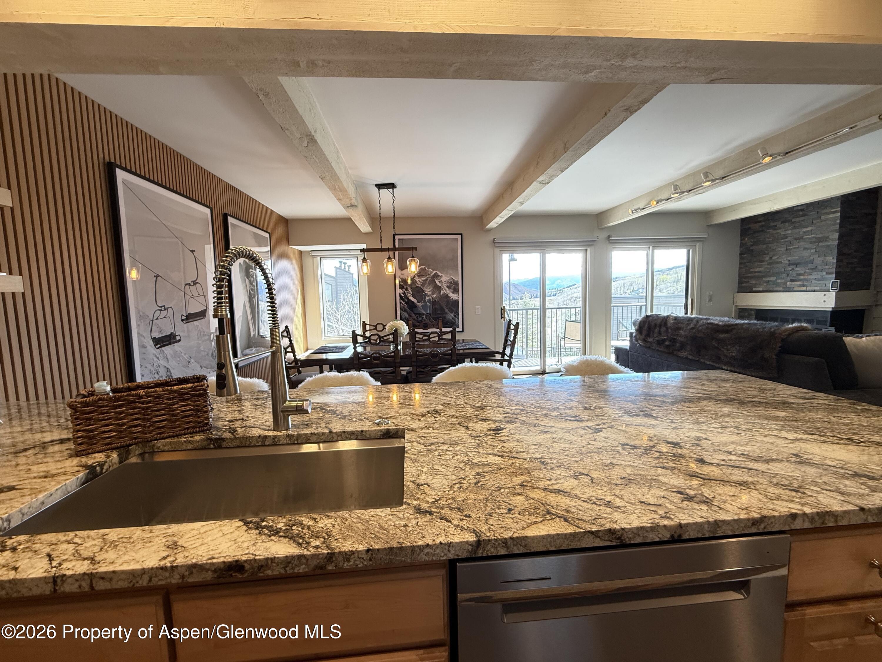 55 Upper Woodbridge Road, Unit E2 Snowmass Village, CO 81615 - Photo 5 of 41 IMG_2673