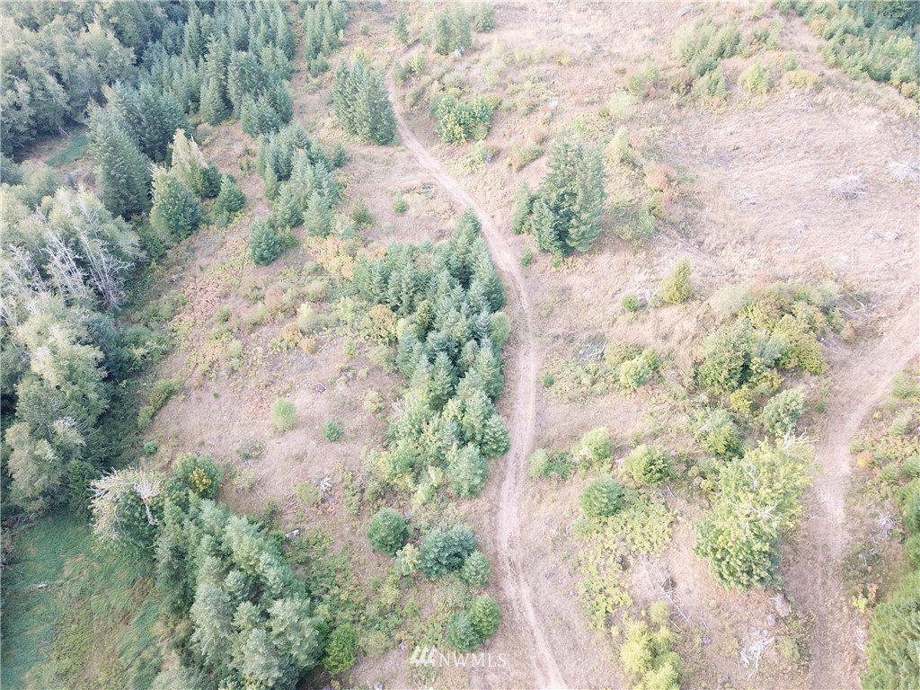 1980 Lincoln Creek Road Rochester, WA 98579 - Photo 14 of 22 a view of a yard with plants and tree