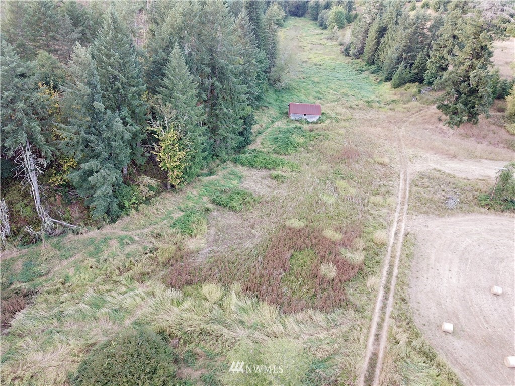 1980 Lincoln Creek Road Rochester, WA 98579 - Photo 17 of 22 a view of yard with green space