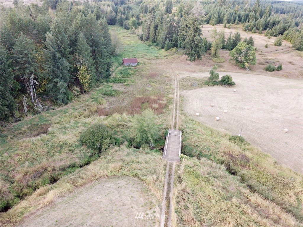1980 Lincoln Creek Road Rochester, WA 98579 - Photo 18 of 22 a view of a dry yard with trees