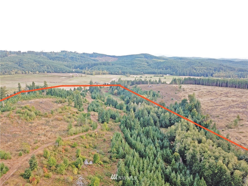 1980 Lincoln Creek Road Rochester, WA 98579 - Photo 21 of 22 a view of a lush green field