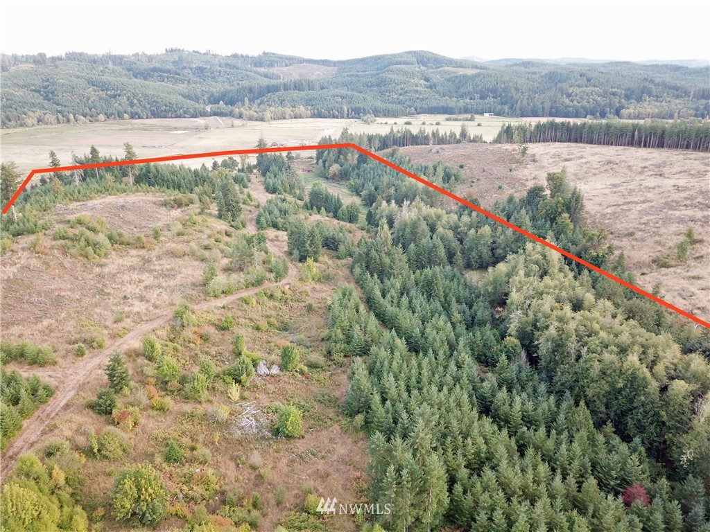 1980 Lincoln Creek Road Rochester, WA 98579 - Photo 22 of 22 a view of mountain with outdoor space