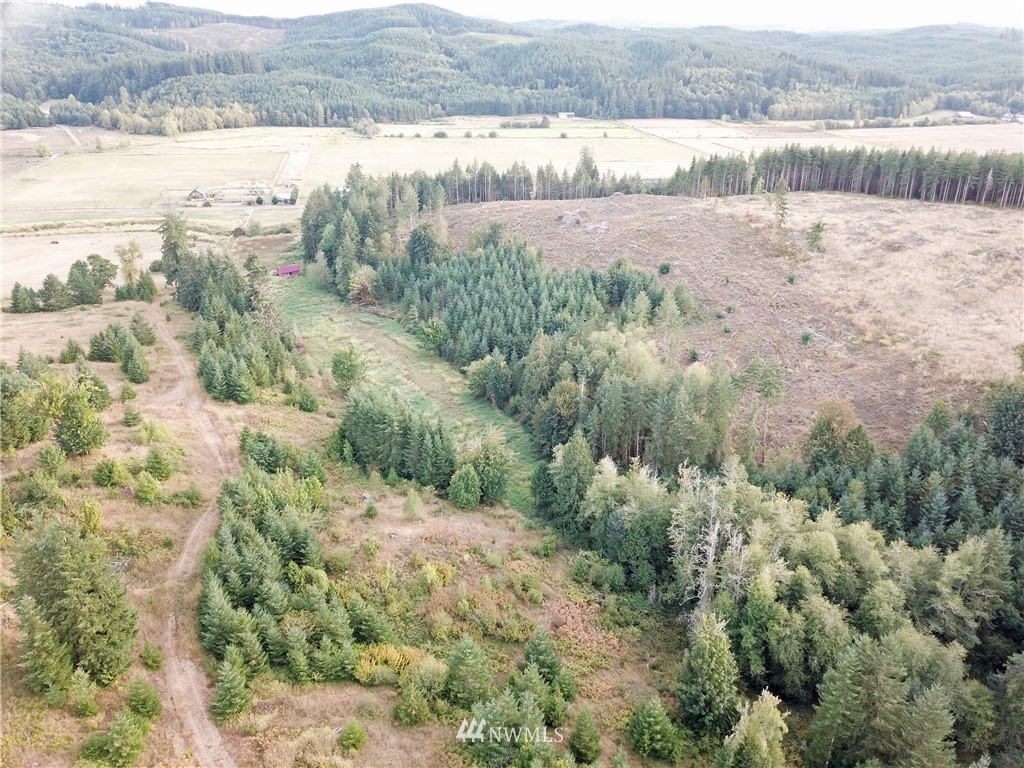 1980 Lincoln Creek Road Rochester, WA 98579 - Photo 6 of 22 an aerial view of mountains with green space and fog