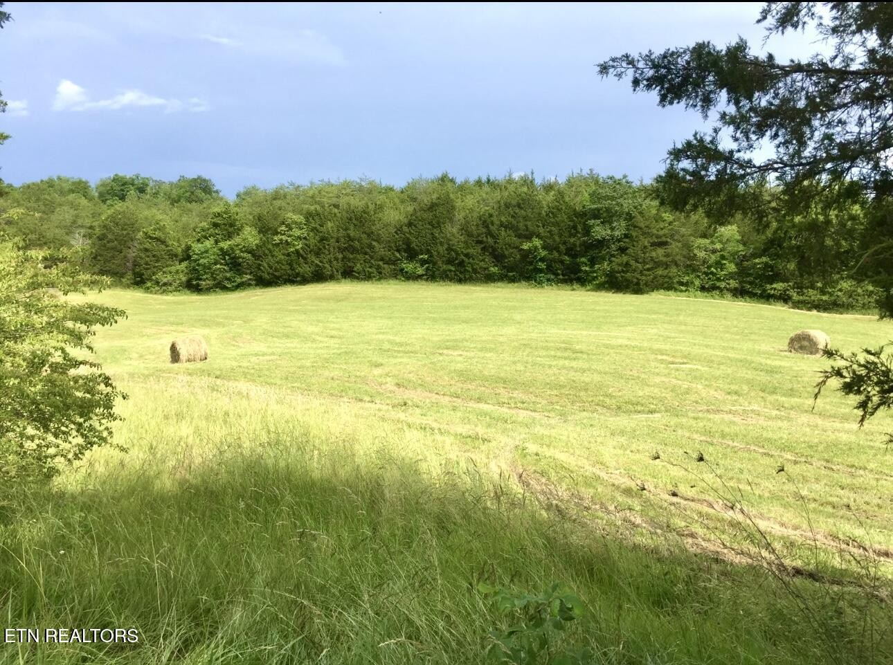 2355 Jim Henry Road Dandridge, TN 37725 - Photo 3 of 24 Gallery Image 3