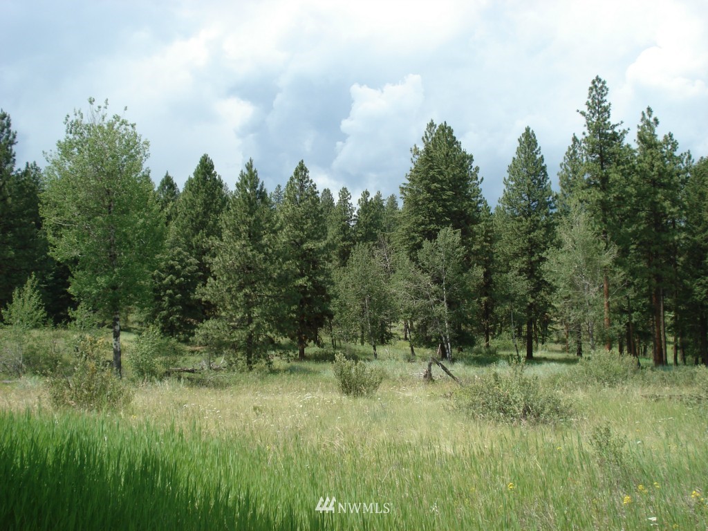 -lota&b West Curlew Lake Road Republic, WA 99166 - Photo 2 of 8