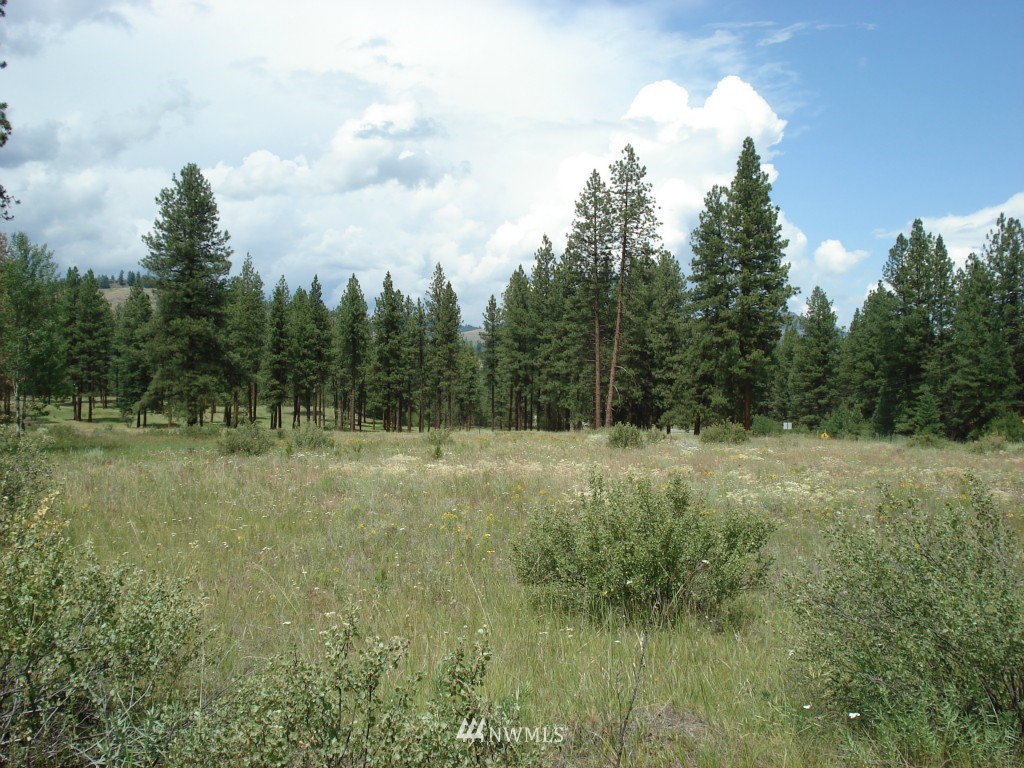 -lota&b West Curlew Lake Road Republic, WA 99166 - Photo 3 of 8