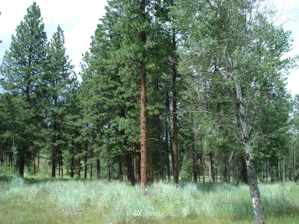 -lota&b West Curlew Lake Road Republic, WA 99166 - Photo 4 of 8