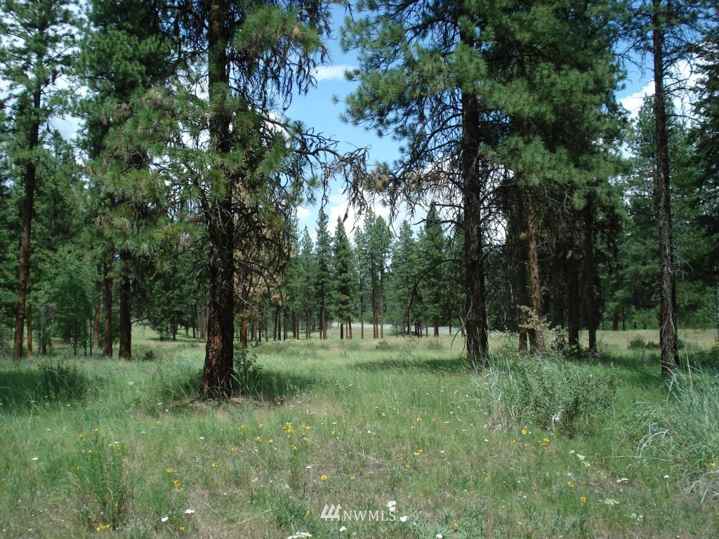 -lota&b West Curlew Lake Road Republic, WA 99166 - Photo 6 of 8