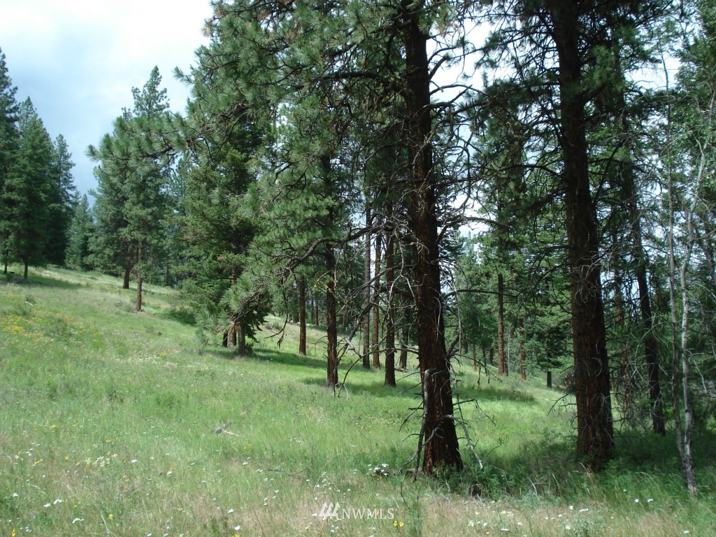 -lota&b West Curlew Lake Road Republic, WA 99166 - Photo 7 of 8