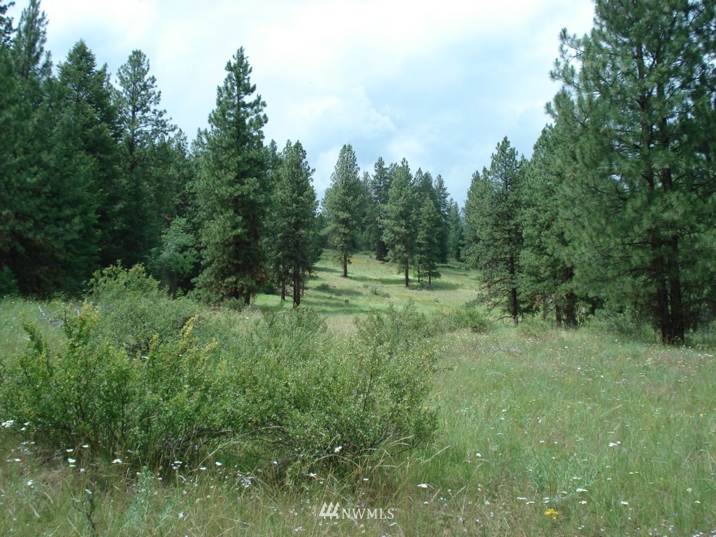 -lota&b West Curlew Lake Road Republic, WA 99166 - Photo 8 of 8