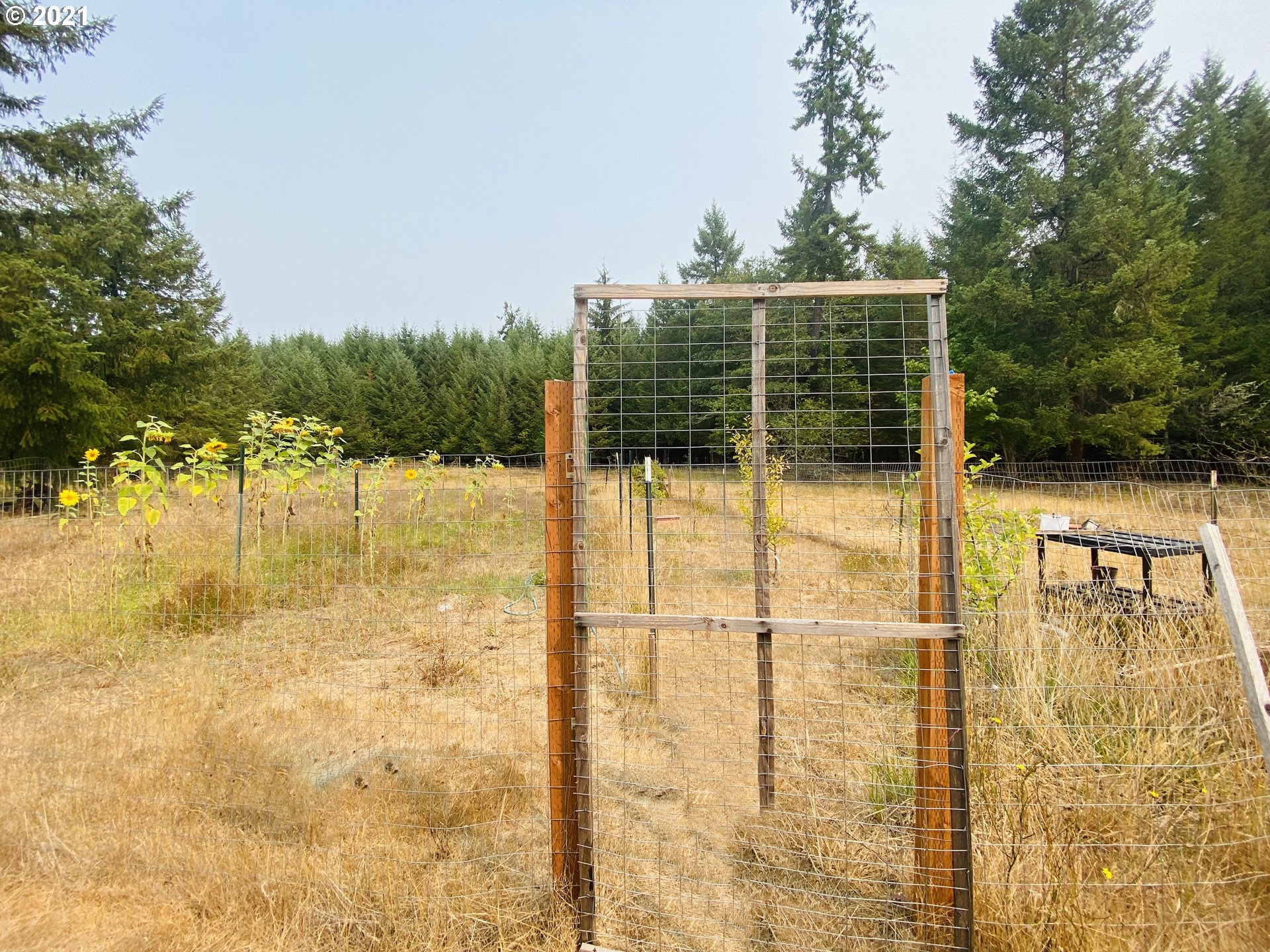 88469 Ridiculous Road Veneta, OR 97487 - Photo 26 of 32 Gallery Image 26