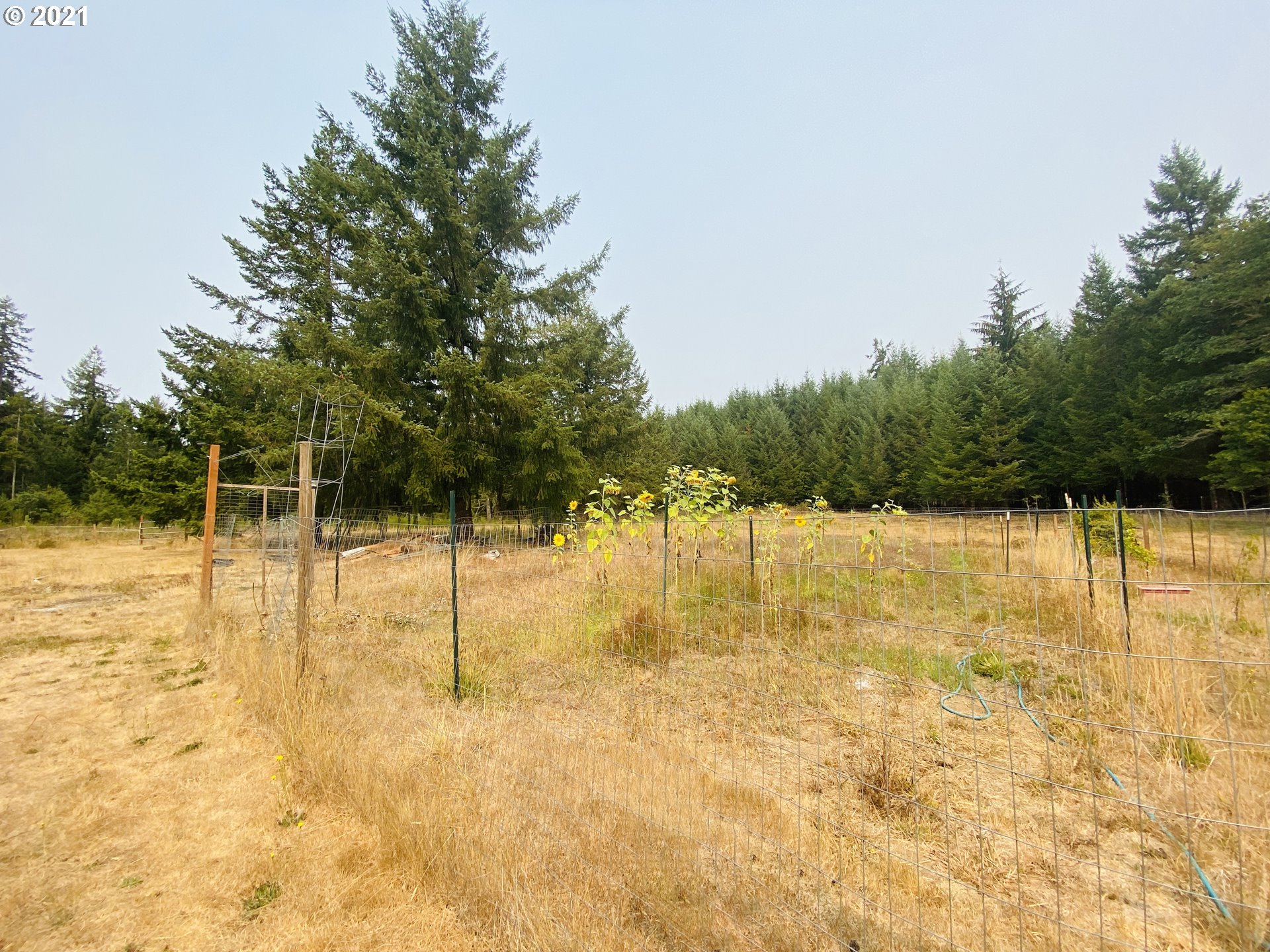 88469 Ridiculous Road Veneta, OR 97487 - Photo 27 of 32 Gallery Image 27