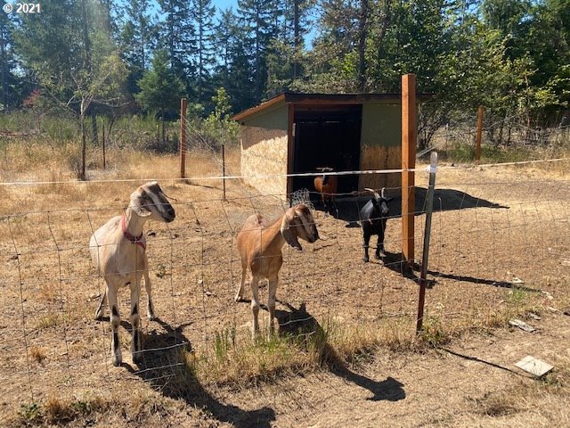 88469 Ridiculous Road Veneta, OR 97487 - Photo 31 of 32 Gallery Image 31