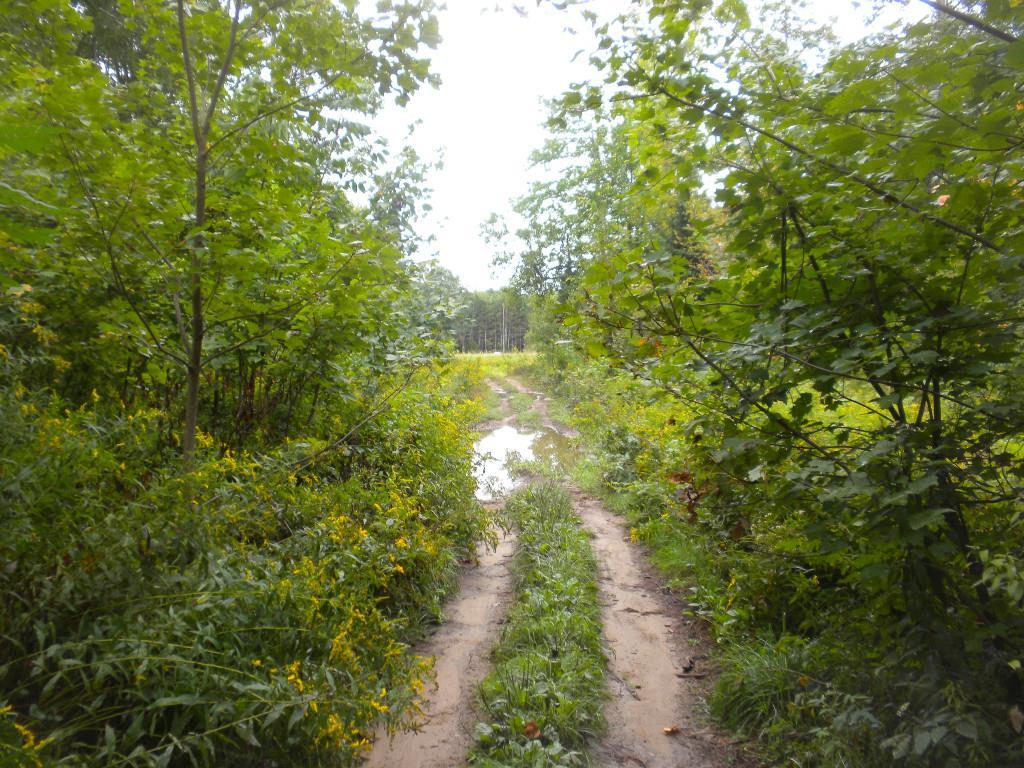 7 River Road Limington, ME 04049 - Photo 7 of 26 Photo
