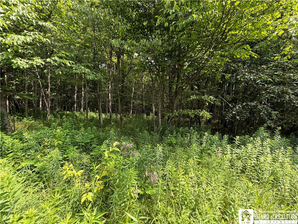 2751 Canfield Road Cohocton, NY 14826 - Photo 26 of 50