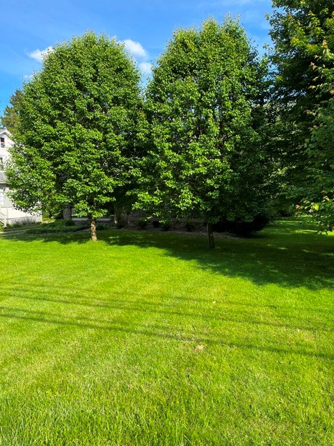 925 Grandview Road Oil City, PA 16301 - Photo 2 of 39