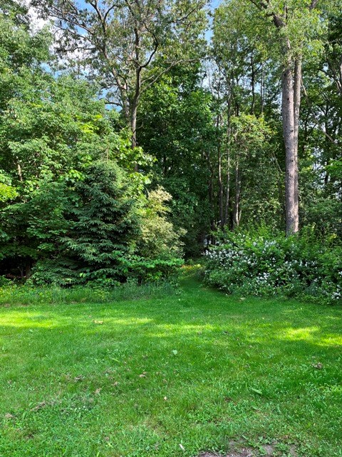 925 Grandview Road Oil City, PA 16301 - Photo 6 of 39