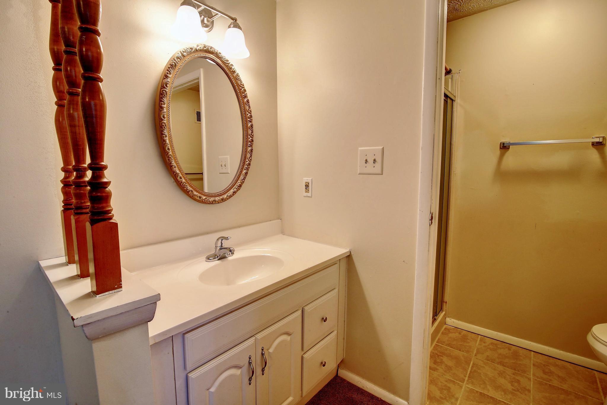 11501 Ivy Bush Court Reston, VA 20191 - Photo 15 of 24 Bath (Master)
