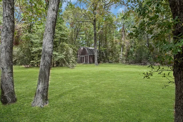a view of a field with a tree