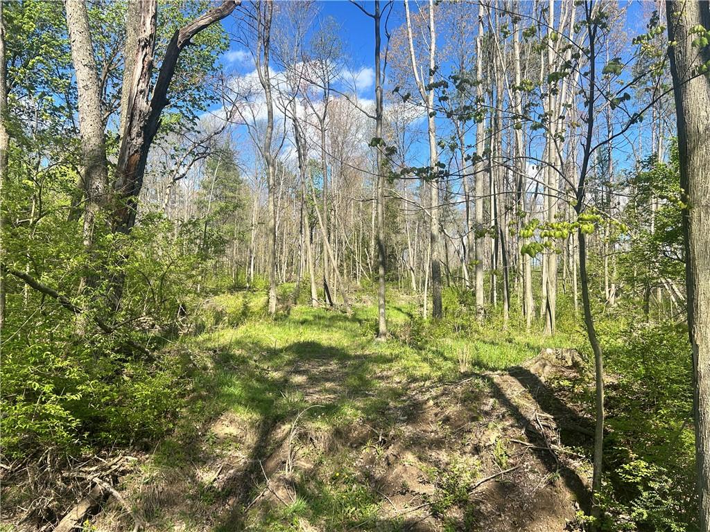 3022 Wilmington Road New Castle, PA 16105 - Photo 7 of 7