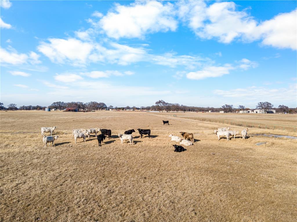 2465 Harpole Road Tioga, TX 76271 - Photo 9 of 14 a view of a lake view