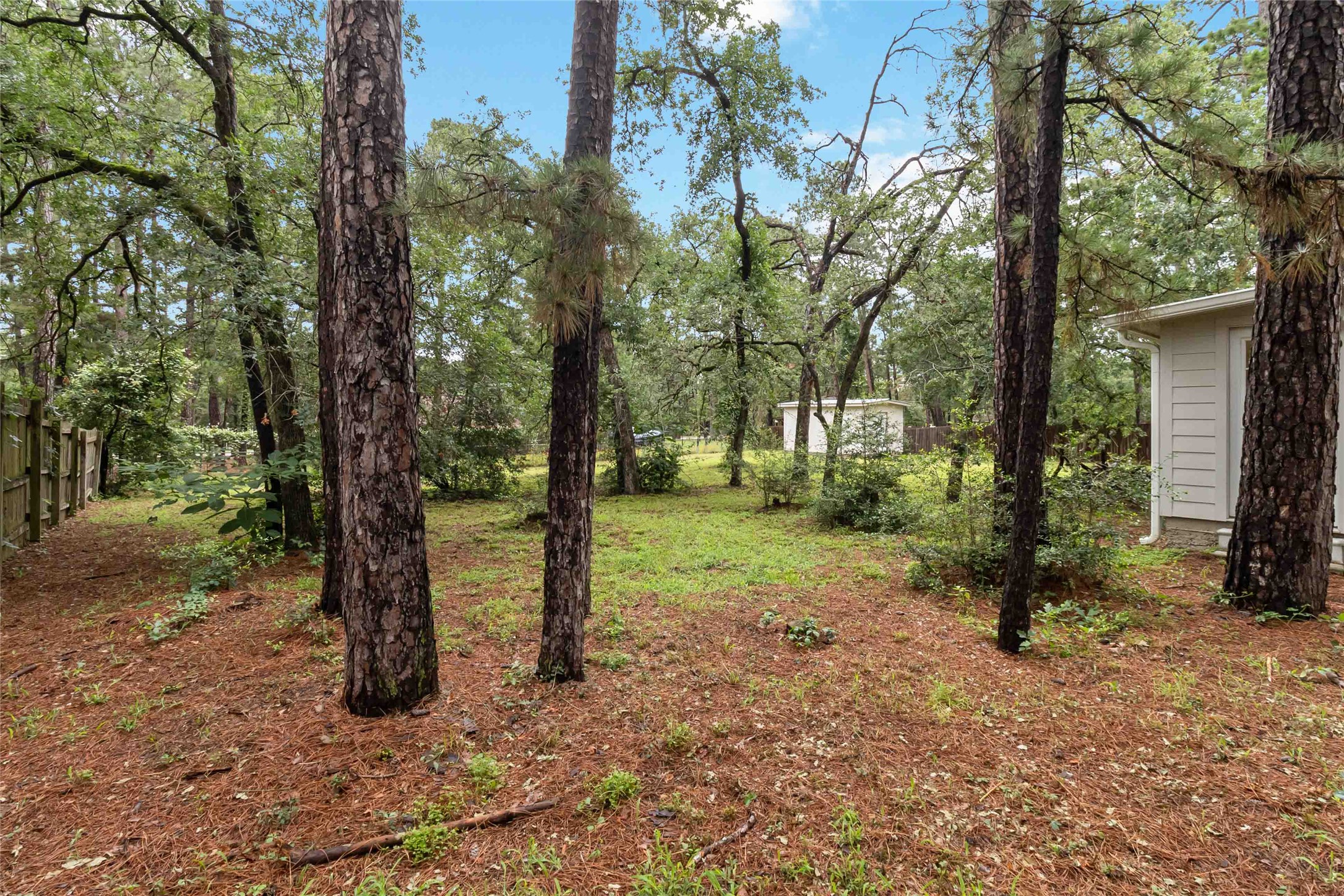 326 Pine View Loop Bastrop, TX 78602 - Photo 30 of 30 A verdant, wooded lot offers abundant privacy and a natural setting.