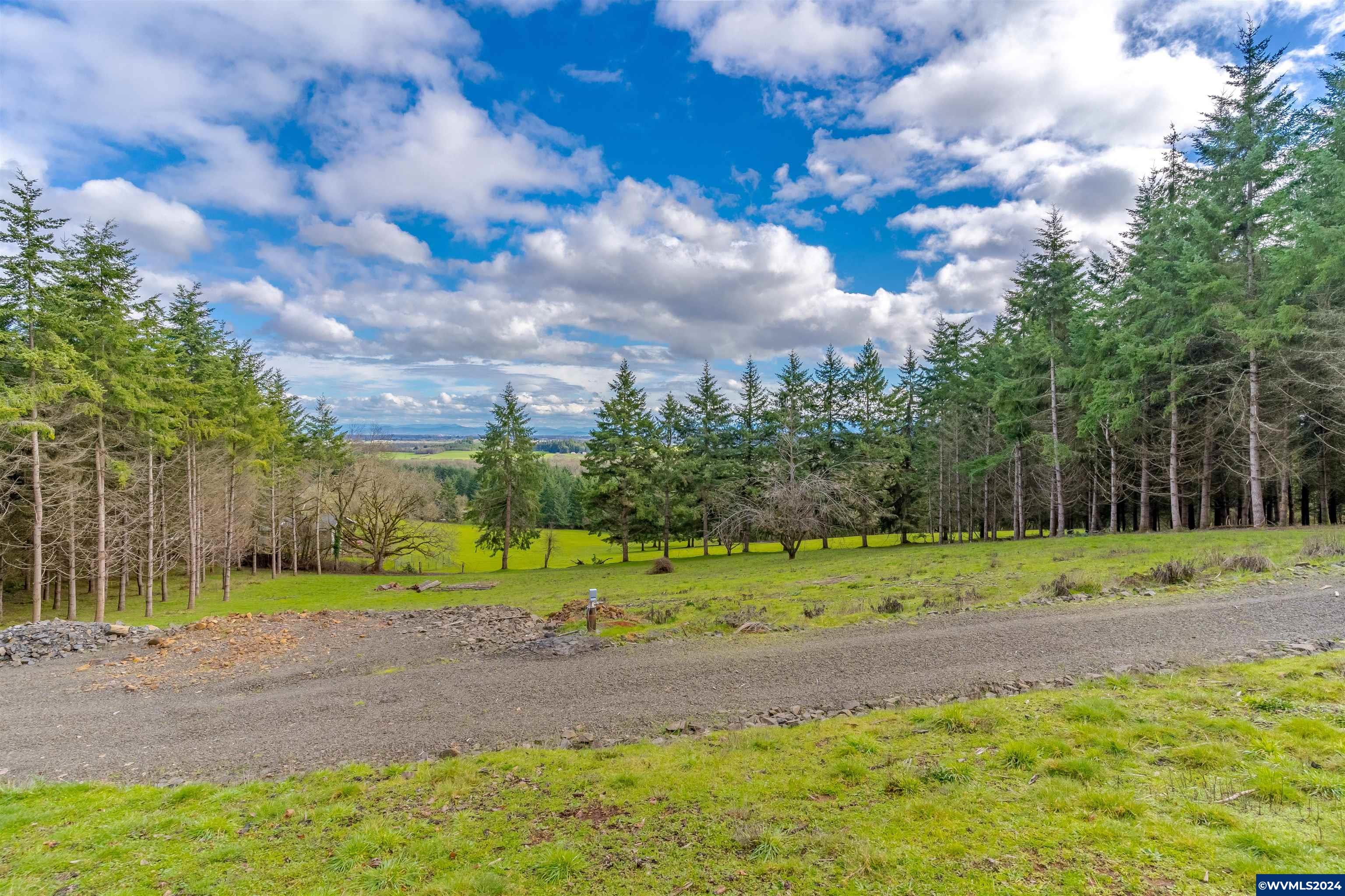 Larson (ta R421034) Road Monroe, OR 97456 - Photo 3 of 30