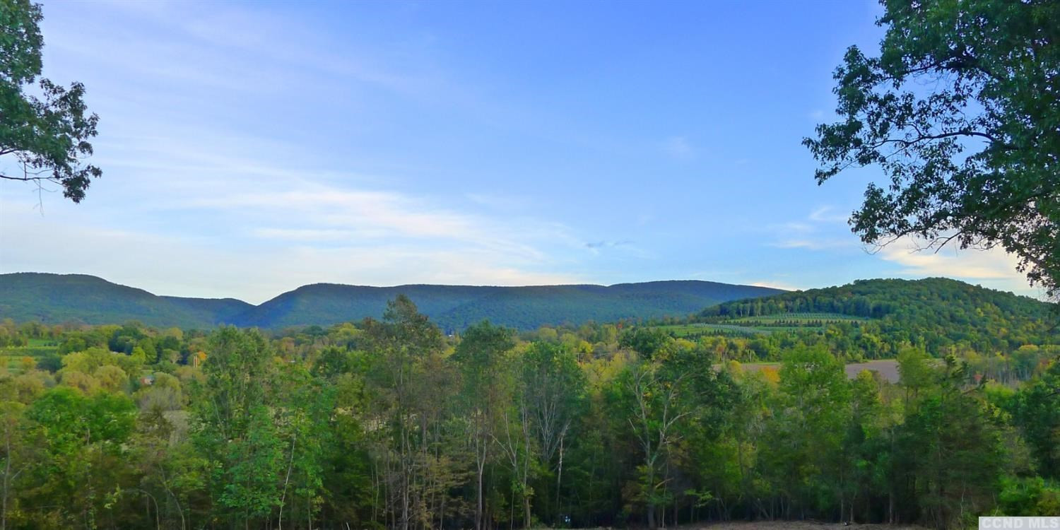 48 White Barn Road Copake, NY 12516 - Photo 1 of 4 Photo 1
