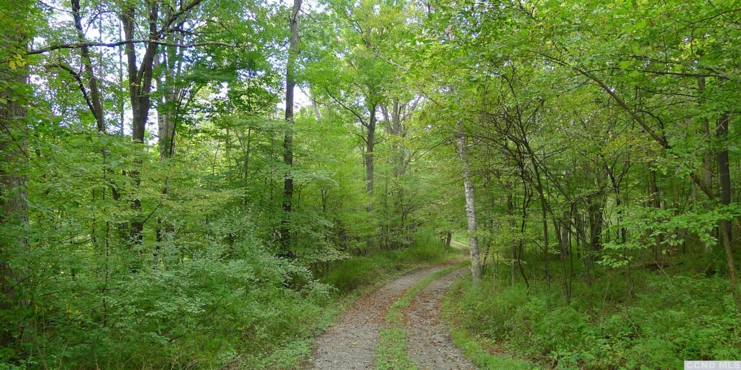 48 White Barn Road Copake, NY 12516 - Photo 2 of 4 Photo 2