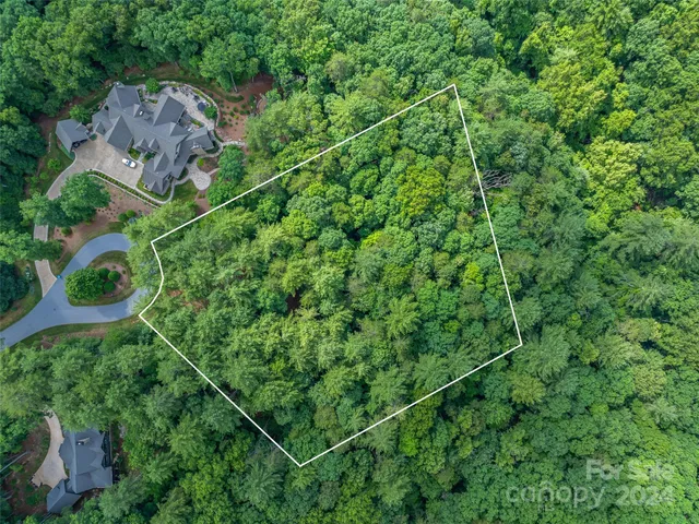an aerial view of a house with a plant