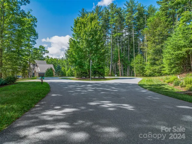 a view of road view with a trees